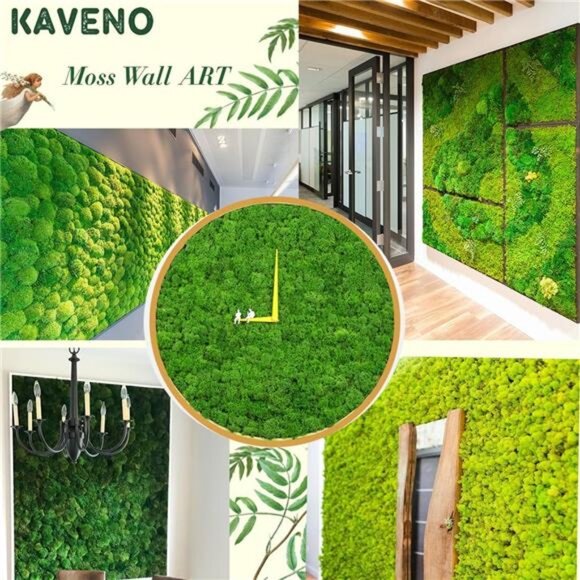 Moss Preserved, Green Moss for Fairy Gardens, Terrariums, Any Craft or Floral - Picture 4 of 7